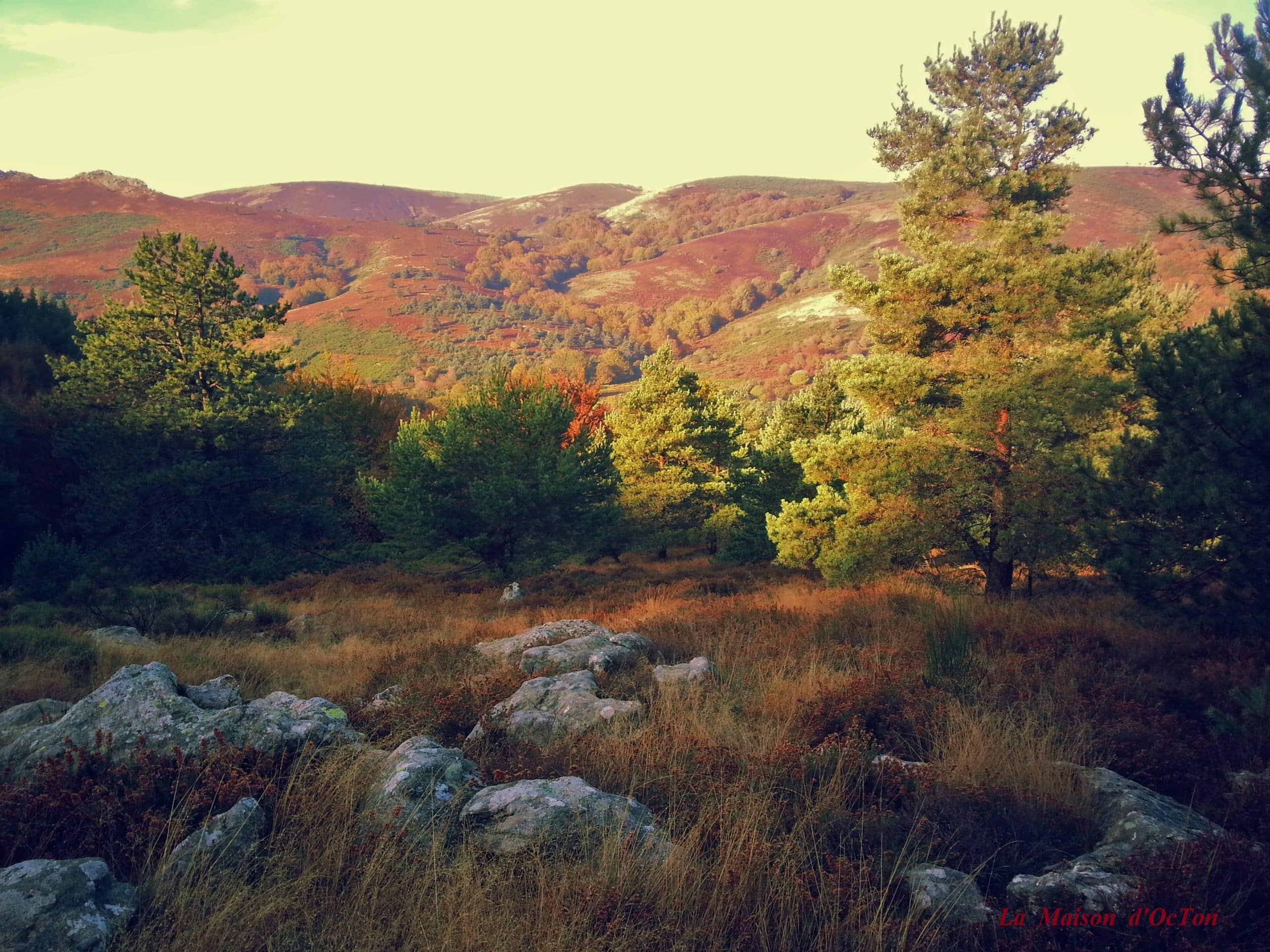 location de vacances haut languedoc