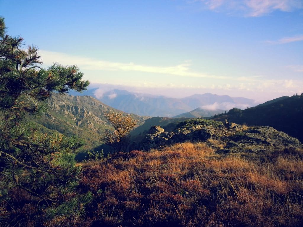 location vacances occitanie