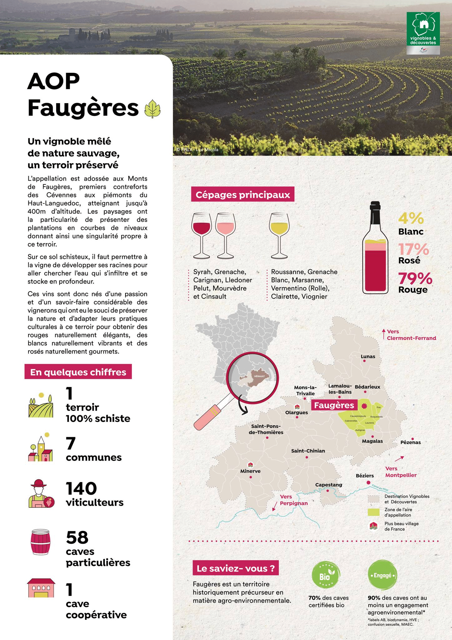 vins du haut Languedoc, tourisme, séjour à la bastide des Servieres
