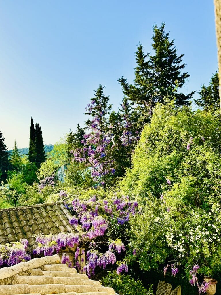 les fleurs explosent au printemps. C'et une féerie à la bastide des Servières. Maison à louer de prestige à côté de la Méditerranée.